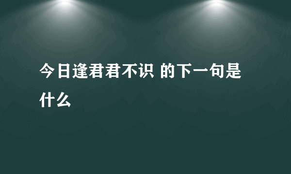 今日逢君君不识 的下一句是什么