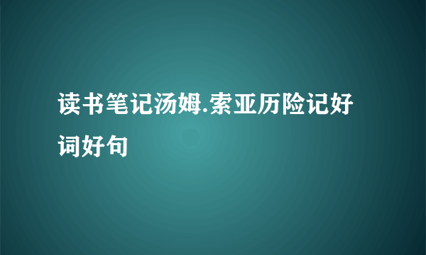 读书笔记汤姆.索亚历险记好词好句