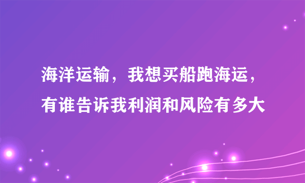 海洋运输，我想买船跑海运，有谁告诉我利润和风险有多大