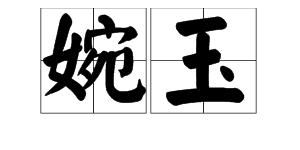 “婉玉”这两个字的含义是什么？