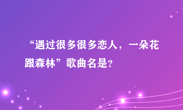 “遇过很多很多恋人，一朵花跟森林”歌曲名是？