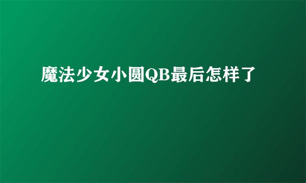 魔法少女小圆QB最后怎样了