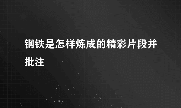 钢铁是怎样炼成的精彩片段并批注