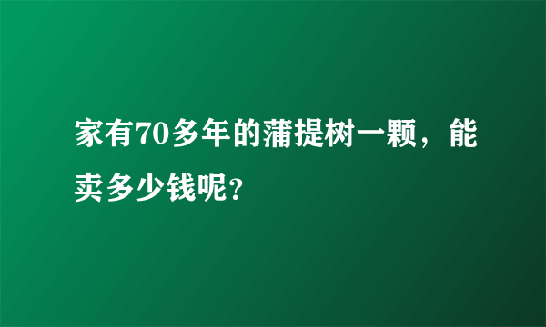 家有70多年的蒲提树一颗，能卖多少钱呢？