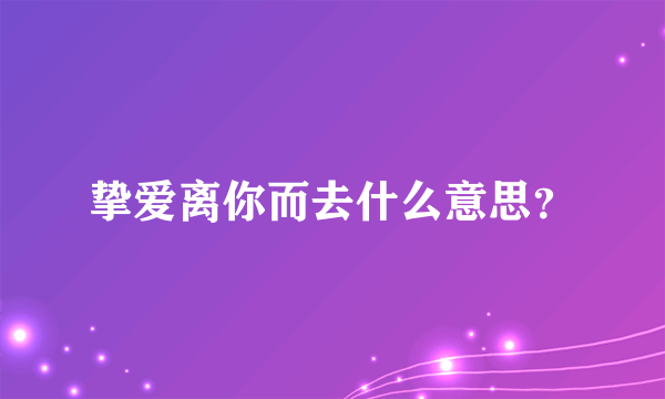 挚爱离你而去什么意思？