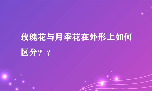 玫瑰花与月季花在外形上如何区分？？