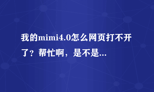 我的mimi4.0怎么网页打不开了？帮忙啊，是不是与升级了。你们懂的....