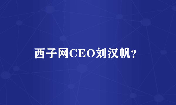 西子网CEO刘汉帆？