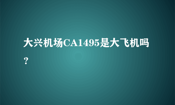 大兴机场CA1495是大飞机吗？