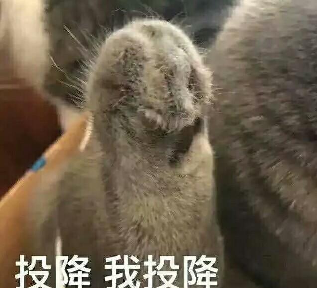 你见过哪些奇葩的学生作业？