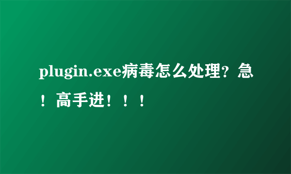 plugin.exe病毒怎么处理？急！高手进！！！