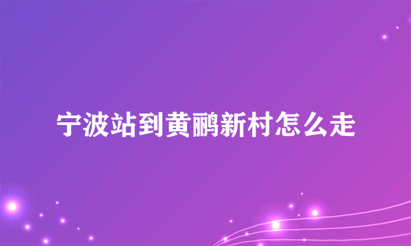 宁波站到黄鹂新村怎么走