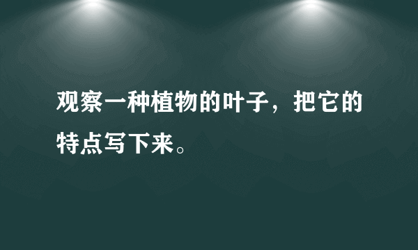 观察一种植物的叶子，把它的特点写下来。