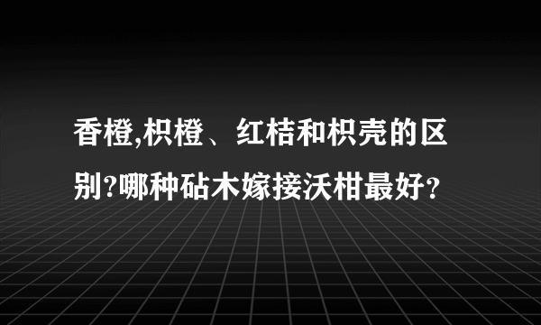 香橙,枳橙、红桔和枳壳的区别?哪种砧木嫁接沃柑最好？