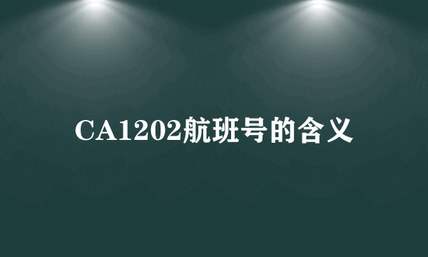 CA1202航班号的含义