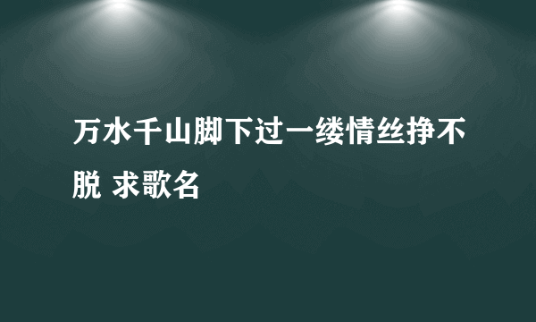 万水千山脚下过一缕情丝挣不脱 求歌名