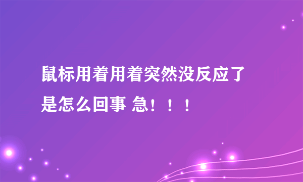 鼠标用着用着突然没反应了 是怎么回事 急！！！