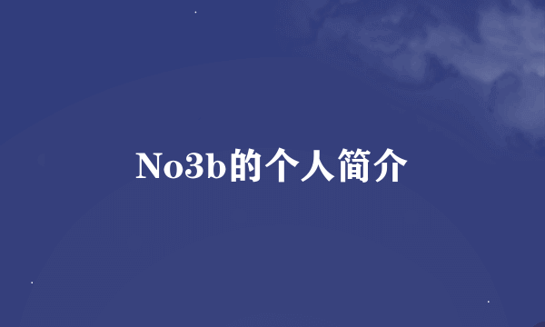 No3b的个人简介