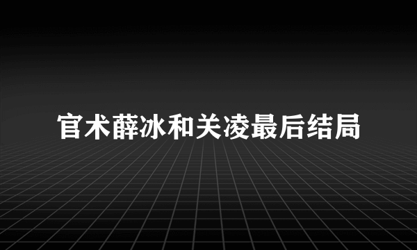 官术薛冰和关凌最后结局