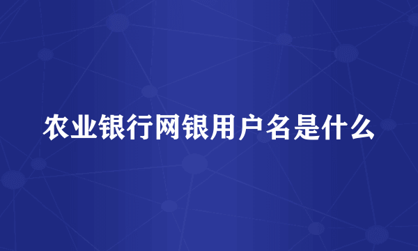 农业银行网银用户名是什么