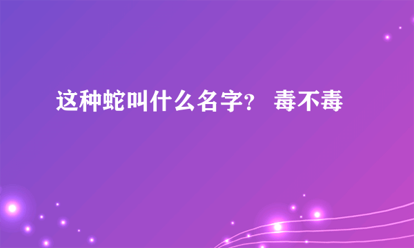 这种蛇叫什么名字？ 毒不毒