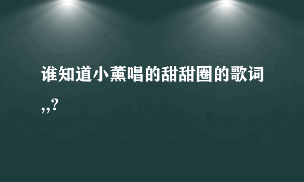 谁知道小薰唱的甜甜圈的歌词,,?