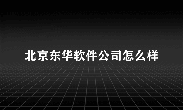 北京东华软件公司怎么样