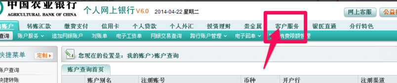 中国农业银行“客户服务→用户名登录维护的界面在哪里