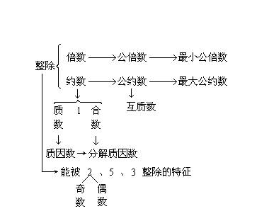 互质数是什么意思