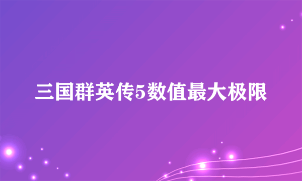 三国群英传5数值最大极限