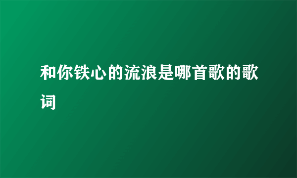 和你铁心的流浪是哪首歌的歌词