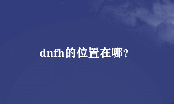 dnfh的位置在哪？