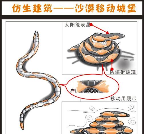 科学家从哪些动物身上得到了启示发明了什么