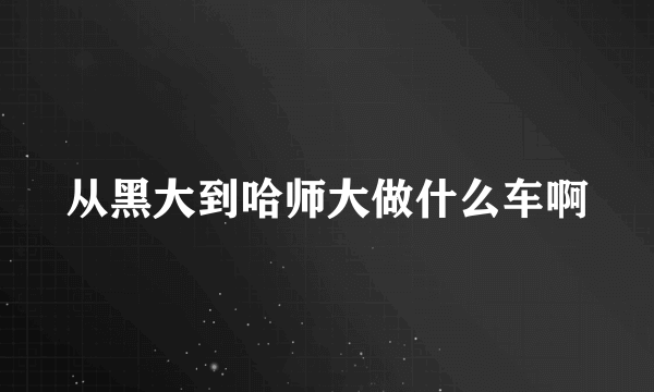 从黑大到哈师大做什么车啊