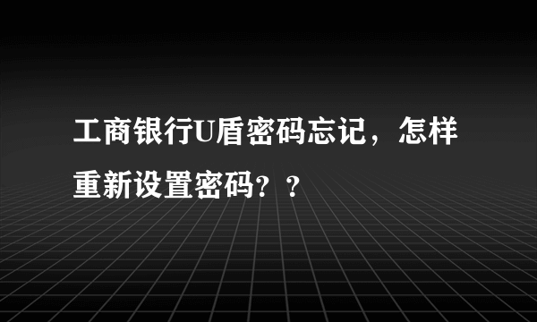 工商银行U盾密码忘记，怎样重新设置密码？？