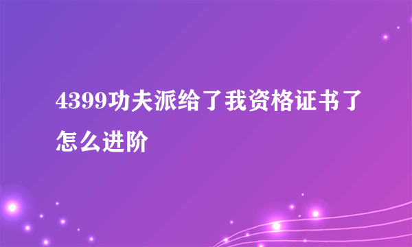 4399功夫派给了我资格证书了怎么进阶