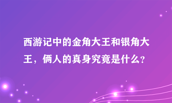 西游记中的金角大王和银角大王，俩人的真身究竟是什么？