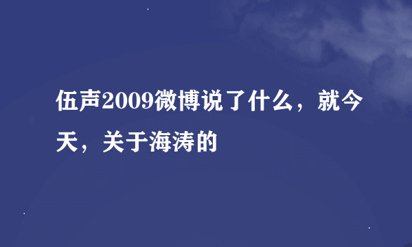 伍声2009微博说了什么，就今天，关于海涛的