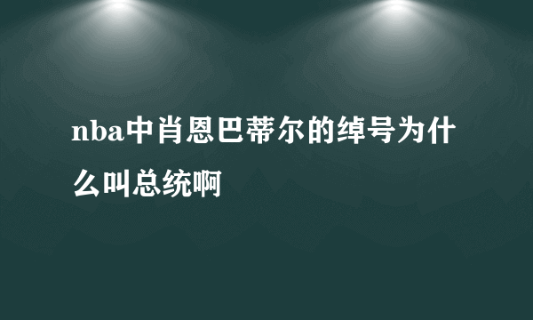 nba中肖恩巴蒂尔的绰号为什么叫总统啊