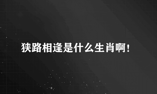 狭路相逢是什么生肖啊！