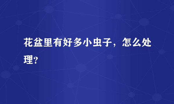 花盆里有好多小虫子，怎么处理？