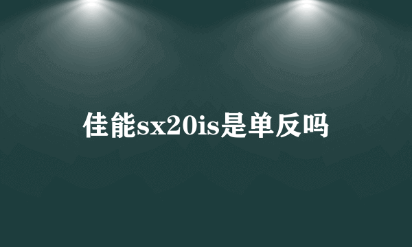 佳能sx20is是单反吗