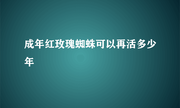 成年红玫瑰蜘蛛可以再活多少年