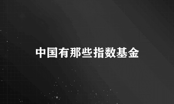 中国有那些指数基金