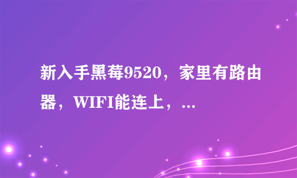 新入手黑莓9520，家里有路由器，WIFI能连上，但依然上不去网，看了有些论坛的上网方法，设置都没问题