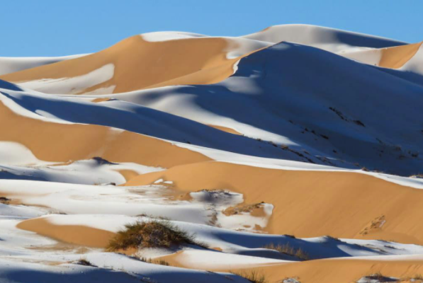 骆驼在撒哈拉沙漠雪中漫步，此次降雪给沙漠带来了哪些好处？