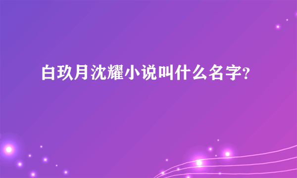 白玖月沈耀小说叫什么名字？