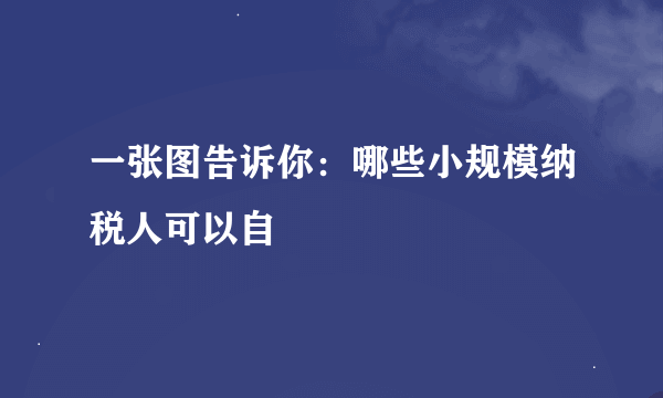 一张图告诉你：哪些小规模纳税人可以自