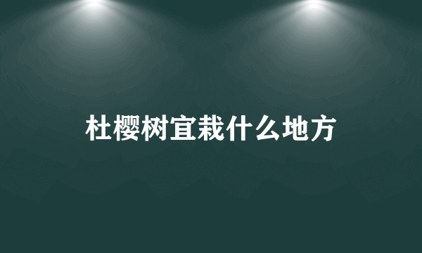 杜樱树宜栽什么地方