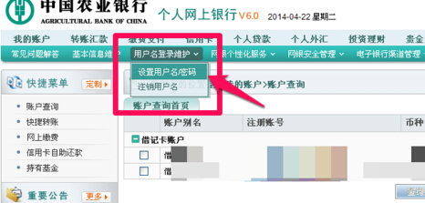 中国农业银行“客户服务→用户名登录维护的界面在哪里